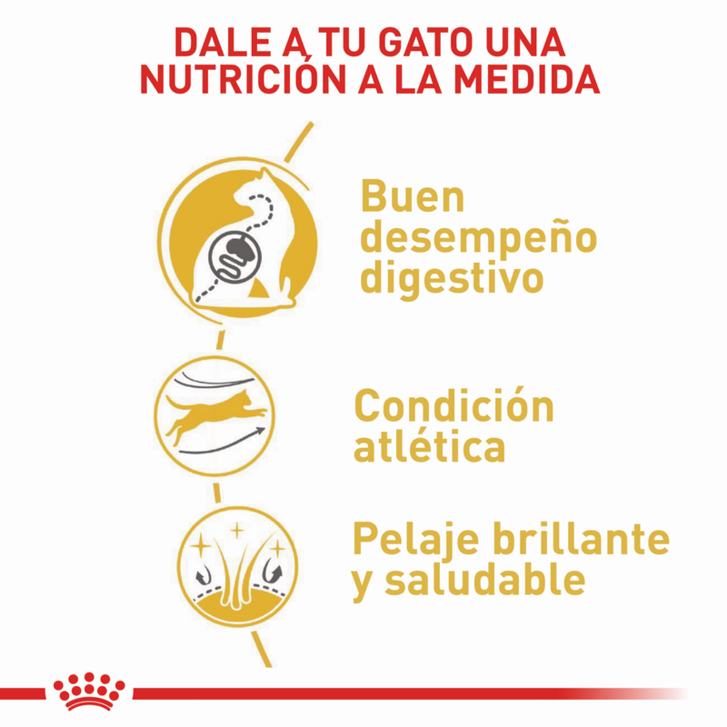Royal-Canin-Alimento-Para-Gato-Bengal-2-Kg
