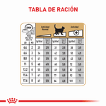 Royal-Canin-Alimento-Para-Gato-Bengal-2-Kg