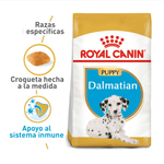 Royal-Canin-Alimento-Para-Perro-Dalmata-Puppy-12-Kg-