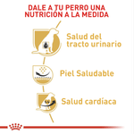 Royal-Canin-Alimento-Para-Perro-Dalmata-Adulto-12-Kg