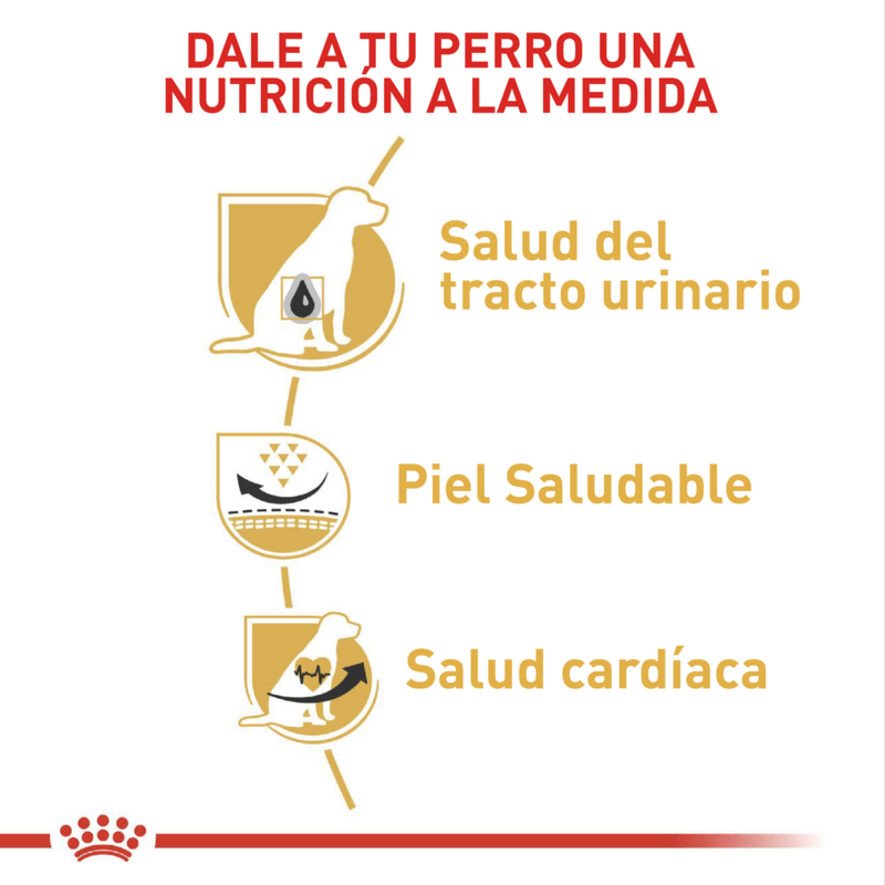 Royal-Canin-Alimento-Para-Perro-Dalmata-Adulto-12-Kg