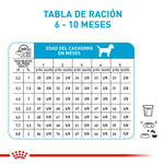 Royal-Canin-Alimento-Para-Perro-X-Small-Puppy-1.5-Kg
