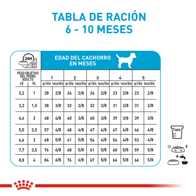 Royal-Canin-Alimento-Para-Perro-X-Small-Puppy-1.5-Kg