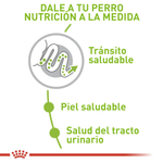 Royal-Canin-Alimento-Para-Perro-X-Small-Adulto-1.5-Kg