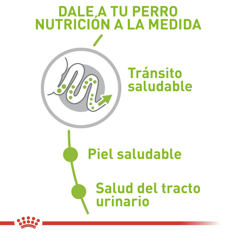 Royal-Canin-Alimento-Para-Perro-X-Small-Adulto-1.5-Kg