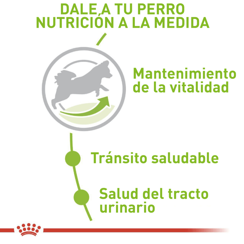 Royal-Canin-Alimento-Para-Perro-X-Small-Senior-8--1.5-Kg