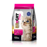 BR-For-Cats-Gatitos
