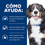 Hills-Alimento-Para-Perro-Adulto-Metabolic---Mobility-24-Lb