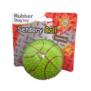 Pelota de Goma Sensory Ball