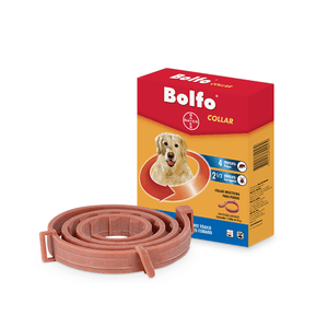 Bolfo Collar Antipulgas