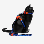Atlanta-Leash-Correa-Small-Ref.-702361