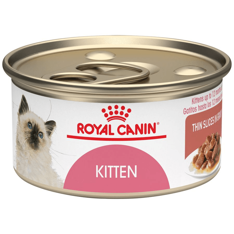 rkivh8ui
