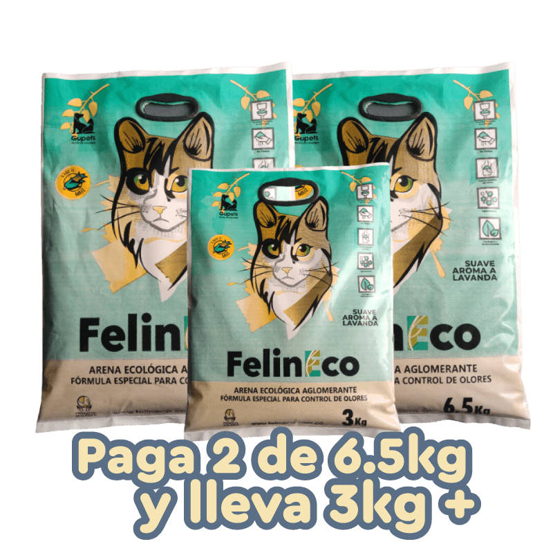 Promo-felineco-lavanda