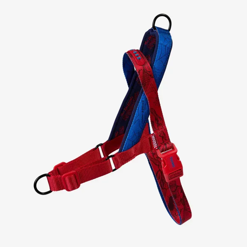 Arnes_Control_Spiderman.webp