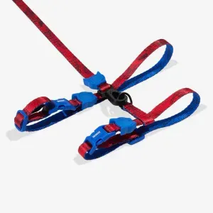 SET ARNES Y CORREA PARA GATOS SPIDER MAN