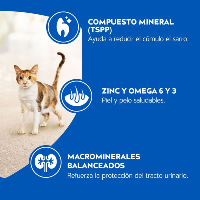 cat-chow-comida-para-gatos-adultos-delimix-fortidefense-10kg-beneficios