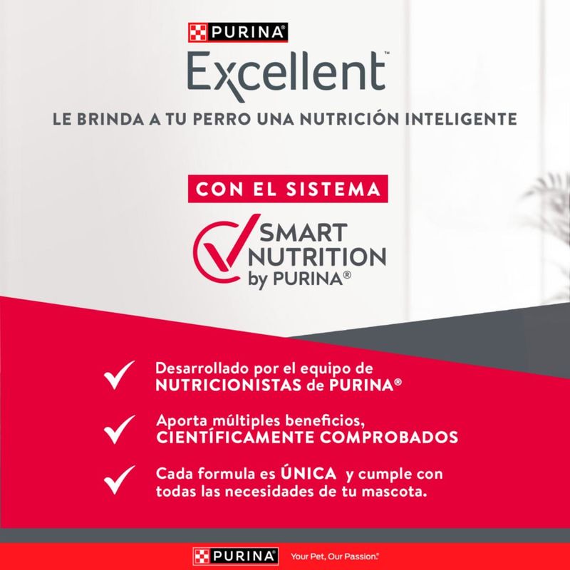 excellent-comida-para-perros-adultos-skin-care-3kg-beneficios