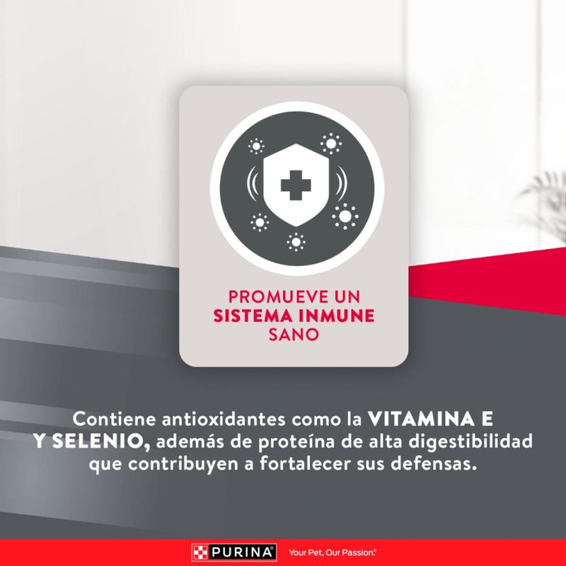 excellent-comida-para-perros-adultos-medianos-y-grandes-3kg-beneficio2