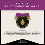 Pro-Plan-Alimento-Para-Gatos-Adultos-Cuidado-Urinario-Beneficio-3