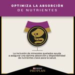 Pro-Plan-Alimento-Para-Gatos-Adultos-Cuidado-Urinario-Beneficio-4