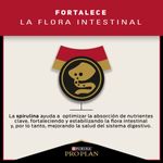 Pro Plan Alimento Para Perros Adultos Razas Pequenas 1kg Beneficio 3
