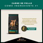 Pro-Plan-Alimento-Para-Cachorros-Razas-Pequenas-Detalles