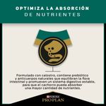 Pro-Plan-Alimento-Para-Cachorros-Razas-Pequenas-Beneficio-3