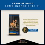 Pro-Plan-Alimento-Para-Perros-Adultos-Razas-Pequenas-Active-Mind-1Kg-Detalles