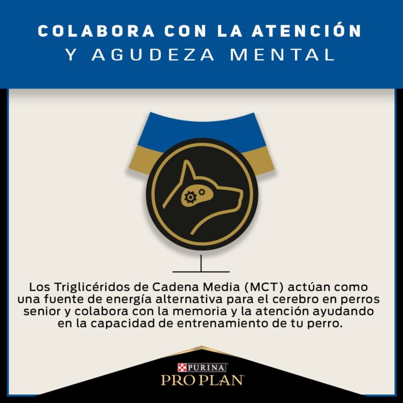 Pro-Plan-Alimento-Para-Perros-Adultos-Razas-Pequenas-Active-Mind-1Kg-Beneficio-2