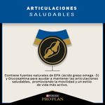 Pro-Plan-Alimento-Para-Perros-Adultos-Razas-Pequenas-Active-Mind-1Kg-Beneficio-5