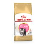Royal Canin Alimento Para Gatitos Raza Persa 400Gr
