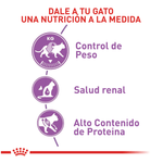 Royal Canin Alimento Para Gato Regular Sterilised 37 2Kg Beneficios