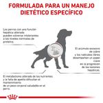 Royal Canin Veterinary Alimento Para Perros Hepatic Formula