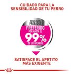 Royal Canin Alimento Para Perros Razas Mini Cuidado Nutricional Exigente Apetito