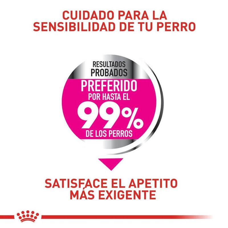 Royal Canin Alimento Para Perros Razas Mini Cuidado Nutricional Exigente Apetito
