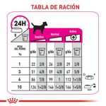 Royal Canin Alimento Para Perros Razas Mini Cuidado Nutricional Exigente Racion