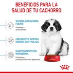 Royal-Canin-Alimento-Para-Cachorros-Gigantes-Beneficios
