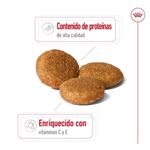 Royal Canin Alimento Para Perros Adultos Razas Medianas Croqueta