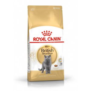 Royal Canin Alimento Para Gatos Adultos Raza British Shorthair