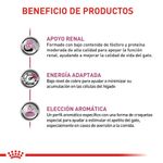 Royal Canin Veterinary Alimento Para Gatos Adultos Renal Special Beneficios