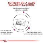 Royal Canin Veterinary Alimento Para Gatos Adultos Renal Special Ciencia