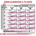 Royal Canin Veterinary Alimento Para Gatos Adultos Renal Special Raciones