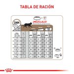 Royal Canin Alimento Para Gatos Senior Ageing 12+ Raciones