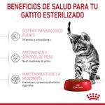 Royal Canin Alimento Para Gatitos Esterilizado Beneficios