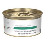 Royal-Canin-Veterinary-Alimento-Humedo-Para-Gatos-Adultos-Glycobalance-Respaldo
