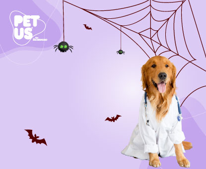 Clínica veterinaria con atención profesional para tu mascota