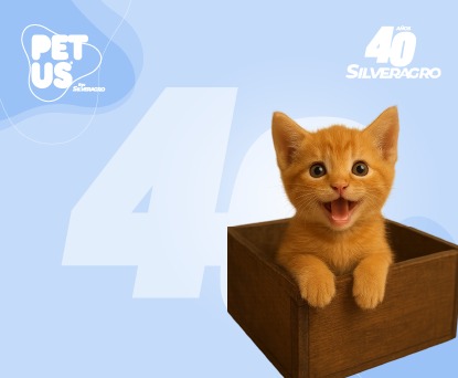 Guardería exclusiva para gatos con espacios seguros y cómodos