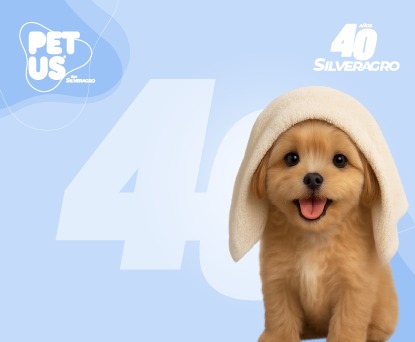 Servicio de grooming profesional para perros y gatos