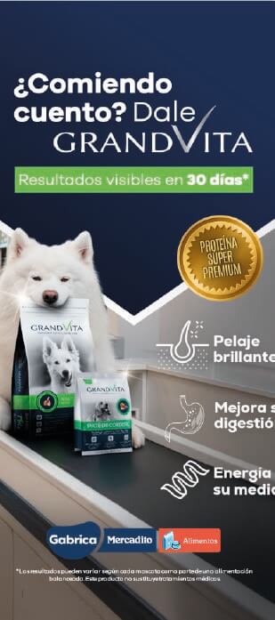 Banner promocional de Petus by Silveragro con alimento para perros Grandvita. Mejora su pelaje, digestión y energía en 30 días.