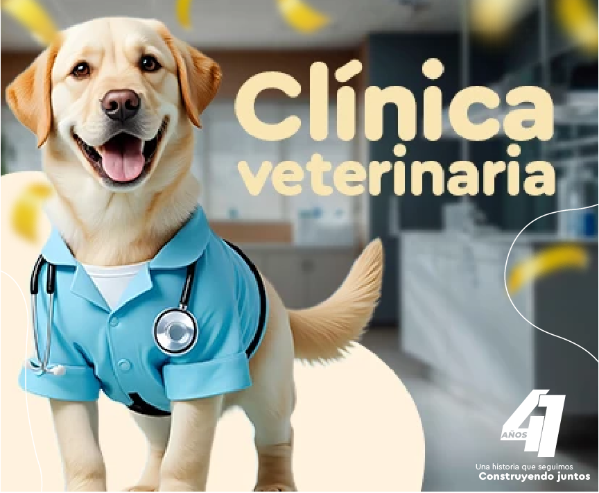 Clínica veterinaria con atención profesional para tu mascota